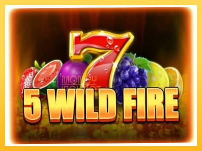 Игровой аппарат 5 Wild Fire - спины на деньги