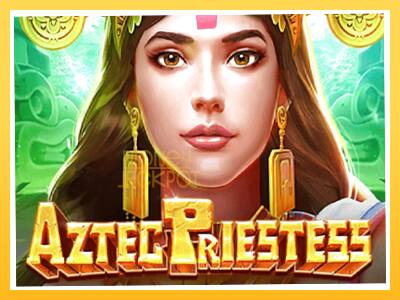 Игровой аппарат Aztec Priestess - спины на деньги