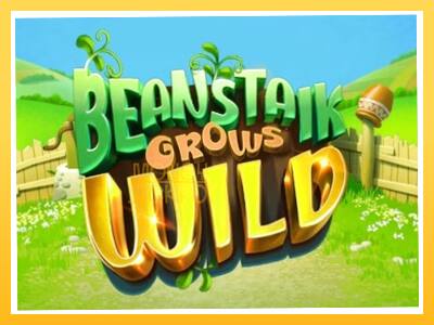 Игровой аппарат Beanstalk Grows Wild - спины на деньги