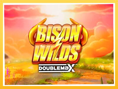 Игровой аппарат Bison Wilds DoubleMax - спины на деньги