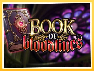 Игровой аппарат Book of Bloodlines - спины на деньги