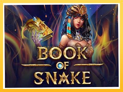 Игровой аппарат Book of Snake - спины на деньги