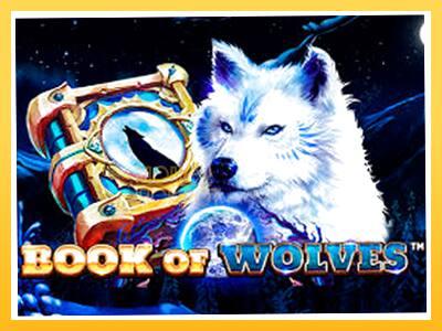 Игровой аппарат Book of Wolves - спины на деньги