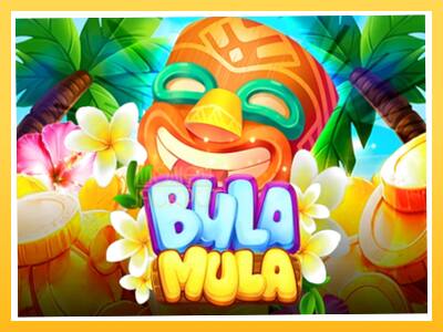 Игровой аппарат Bula Mula - спины на деньги