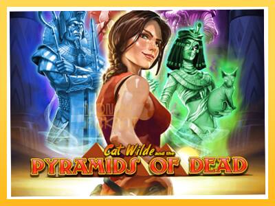 Игровой аппарат Cat Wilde and the Pyramids of Dead - спины на деньги