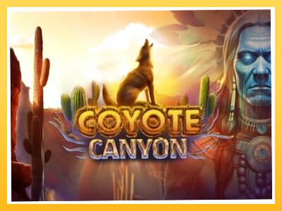 Игровой аппарат Coyote Canyon - спины на деньги