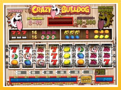 Игровой аппарат Crazy Bulldog - спины на деньги