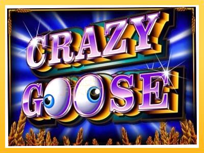 Игровой аппарат Crazy Goose - спины на деньги