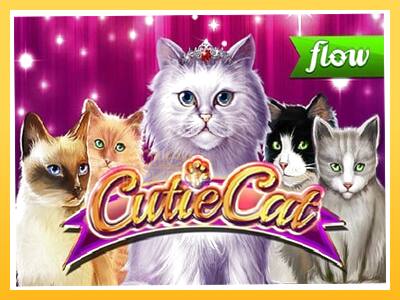 Игровой аппарат Cutie Cat - спины на деньги