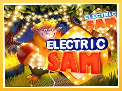 Игровой аппарат Electric Sam - спины на деньги