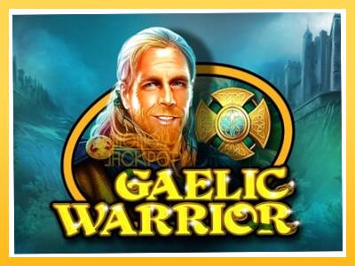 Игровой аппарат Gaelic Warrior - спины на деньги