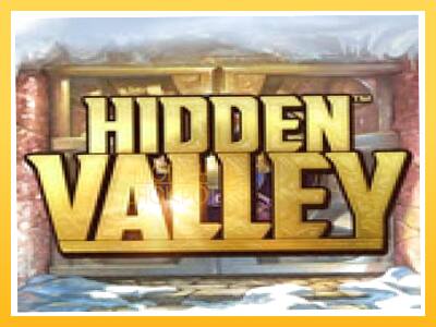 Игровой аппарат Hidden Valley - спины на деньги