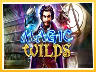 Игровой аппарат Magic Wilds - спины на деньги