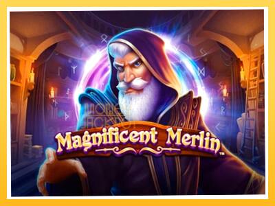 Игровой аппарат Magnificent Merlin - спины на деньги