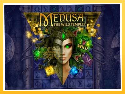 Игровой аппарат Medusa The Wild Temple - спины на деньги