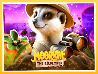 Игровой аппарат Meerkat - спины на деньги