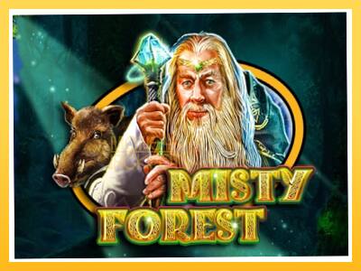 Игровой аппарат Misty Forest - спины на деньги