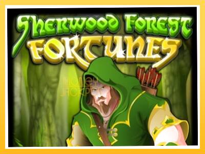 Игровой аппарат Sherwood Forest Fortunes - спины на деньги