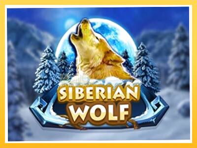 Игровой аппарат Siberian Wolf - спины на деньги