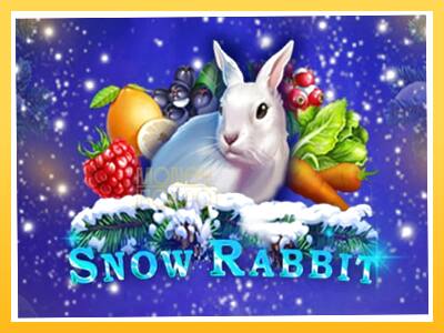 Игровой аппарат Snow Rabbit - спины на деньги