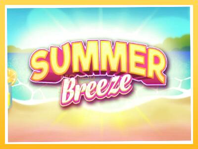 Игровой аппарат Summer Breeze - спины на деньги