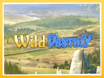 Игровой аппарат Wild Destiny - спины на деньги