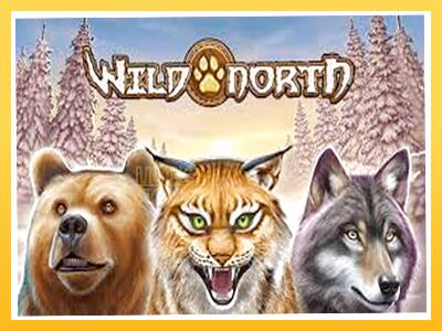 Игровой аппарат Wild North - спины на деньги