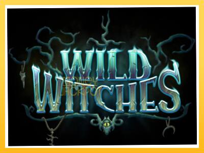 Игровой аппарат Wild Witches - спины на деньги