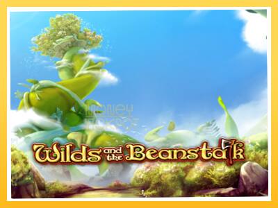 Игровой аппарат Wilds and the Beanstalk - спины на деньги