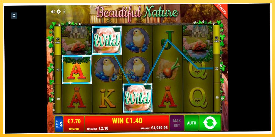 Игровой аппарат Beautiful Nature - игра на реальные деньги, картинка 9