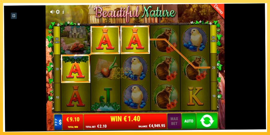 Игровой аппарат Beautiful Nature - игра на реальные деньги, картинка 10