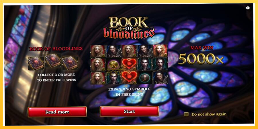 Игровой аппарат Book of Bloodlines - игра на реальные деньги, картинка 1