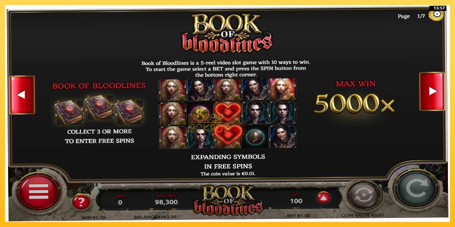 Игровой аппарат Book of Bloodlines - игра на реальные деньги, картинка 5