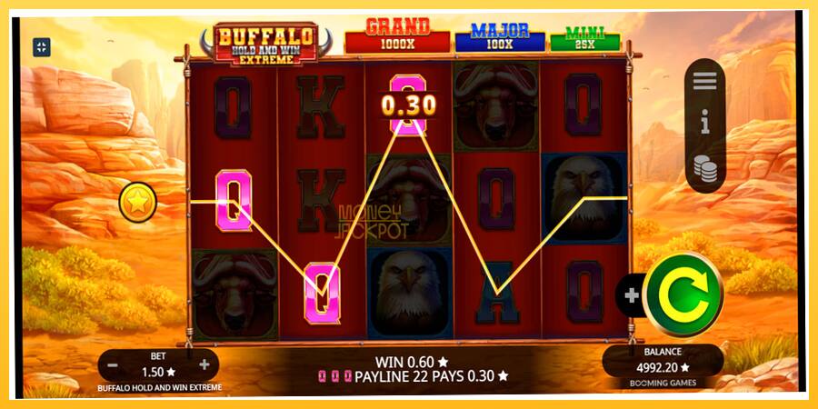 Игровой аппарат Buffalo Hold and Win Extreme - игра на реальные деньги, картинка 4