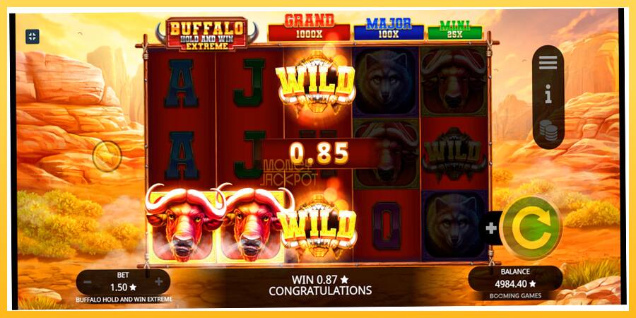 Игровой аппарат Buffalo Hold and Win Extreme - игра на реальные деньги, картинка 6