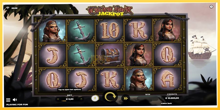 Игровой аппарат Calico Jack Jackpot - игра на реальные деньги, картинка 1