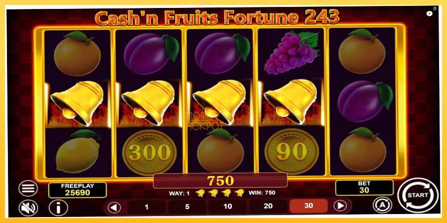 Игровой аппарат Cashn Fruits Fortune 243 - игра на реальные деньги, картинка 5