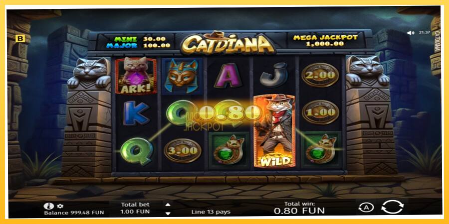 Игровой аппарат Catdiana - игра на реальные деньги, картинка 2