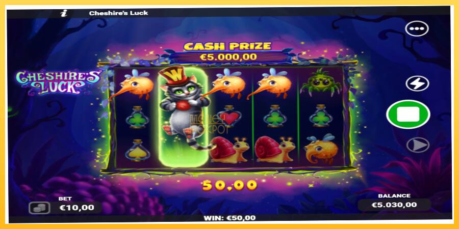 Игровой аппарат Cheshires Luck - игра на реальные деньги, картинка 3