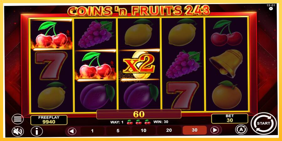 Игровой аппарат Coinsn Fruits 243 - игра на реальные деньги, картинка 3