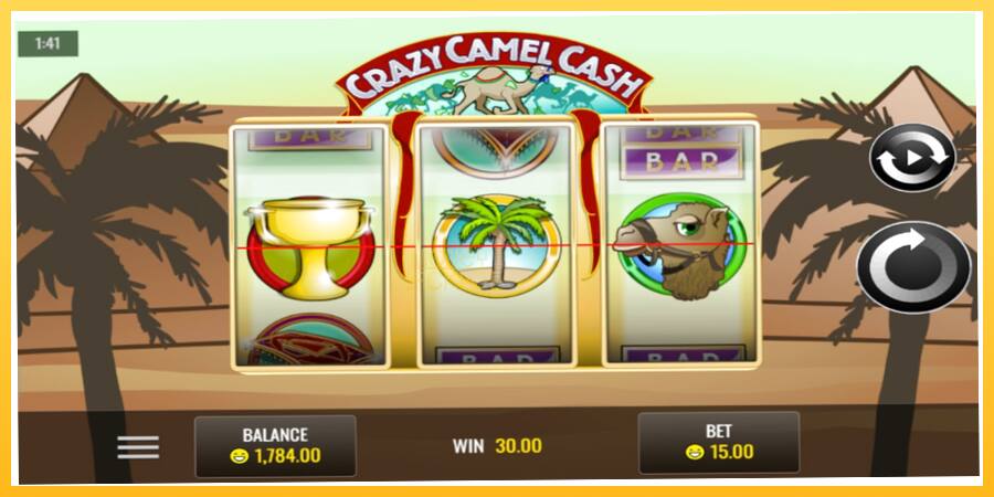 Игровой аппарат Crazy Camel Cash - игра на реальные деньги, картинка 4