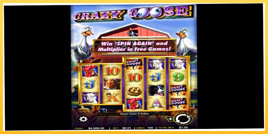 Игровой аппарат Crazy Goose - игра на реальные деньги, картинка 1