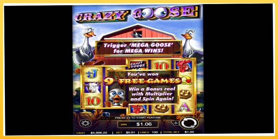 Игровой аппарат Crazy Goose - игра на реальные деньги, картинка 3