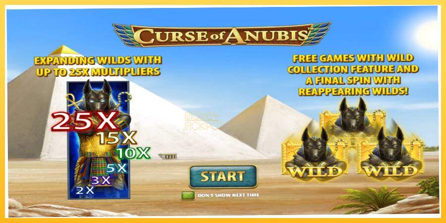 Игровой аппарат Curse of Anubis - игра на реальные деньги, картинка 1