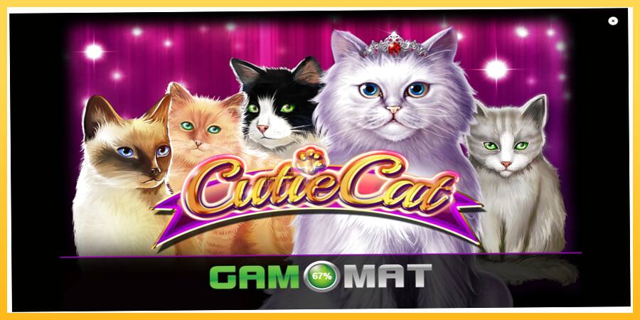 Игровой аппарат Cutie Cat - игра на реальные деньги, картинка 1