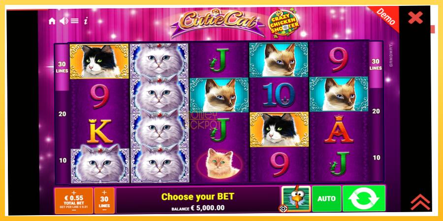 Игровой аппарат Cutie Cat - игра на реальные деньги, картинка 2