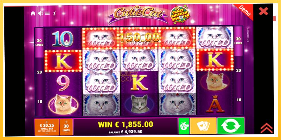 Игровой аппарат Cutie Cat - игра на реальные деньги, картинка 4