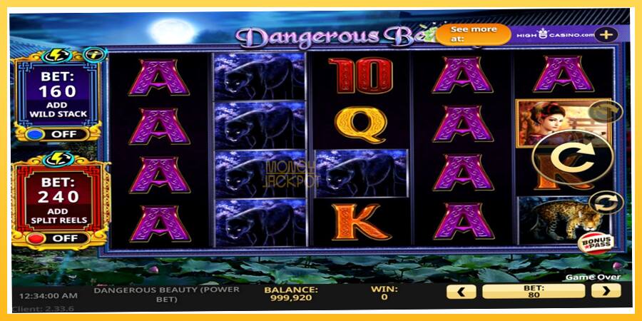 Игровой аппарат Dangerous Beauty Power Bet - игра на реальные деньги, картинка 2