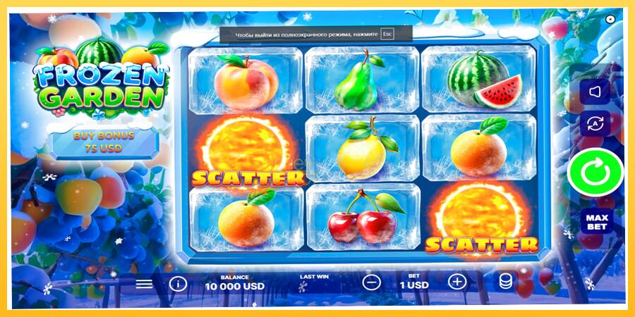 Игровой аппарат Frozen Garden - игра на реальные деньги, картинка 1