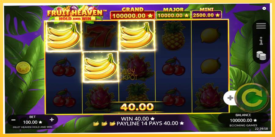 Игровой аппарат Fruit Heaven Hold and Win - игра на реальные деньги, картинка 4